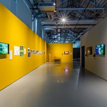 17.IB_ Laura Anderson Barbata Gazhane By Sahir Ugur Eren