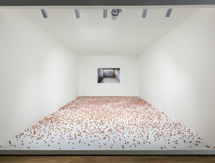Artist's Rooms Taysir Batniji, Hannoun at Jameel Arts Centre. Courtesy of Art Jameel, Photography by Daniella Baptista
