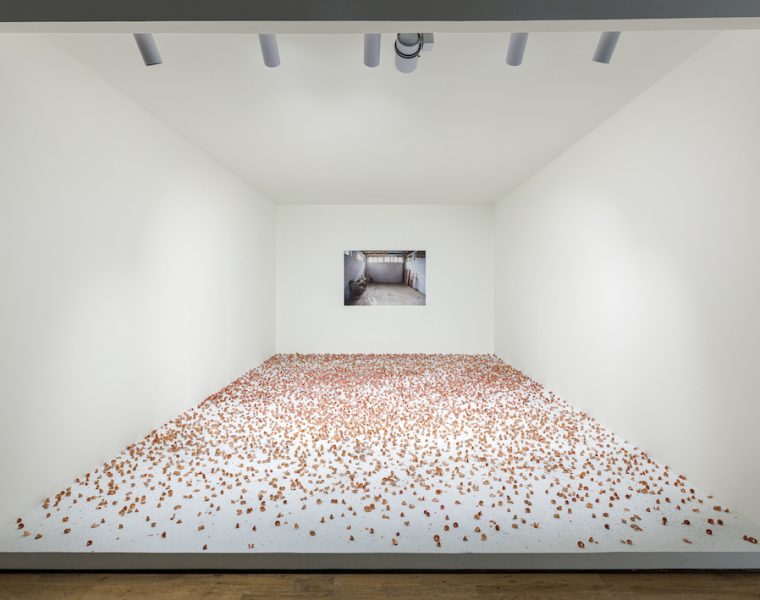 Artist's Rooms Taysir Batniji, Hannoun at Jameel Arts Centre. Courtesy of Art Jameel, Photography by Daniella Baptista
