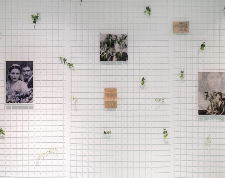 'Sprouting Stories' by Modelab at Takeover Beirut