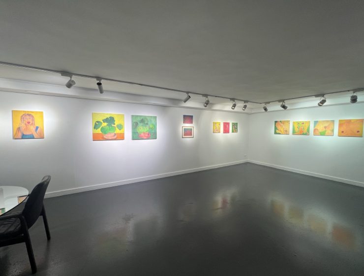 Rola El Hussein, 'Because the Grass Doesn’t Think About Its Garden' installation view.