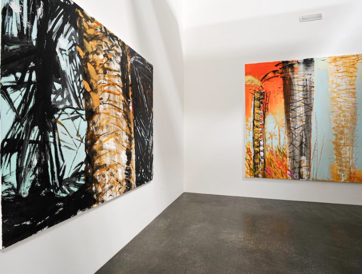 Nabil Nahas, Palms and Stars, 2011, installation view. Courtesy of the artist and Lawrie Shabibi.