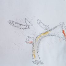 At my studio, on the table, I create for myself a small empire of neglected material around me, to question my existence as a human through them! Image taken with my mobile phone camera, 2020.