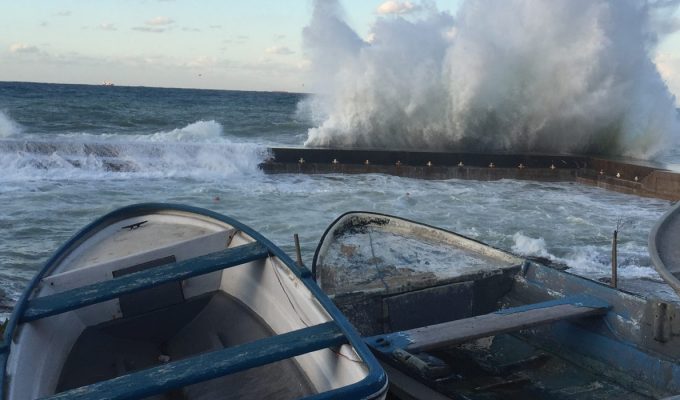 Image from The Chariot of Fara, Carla Henoud