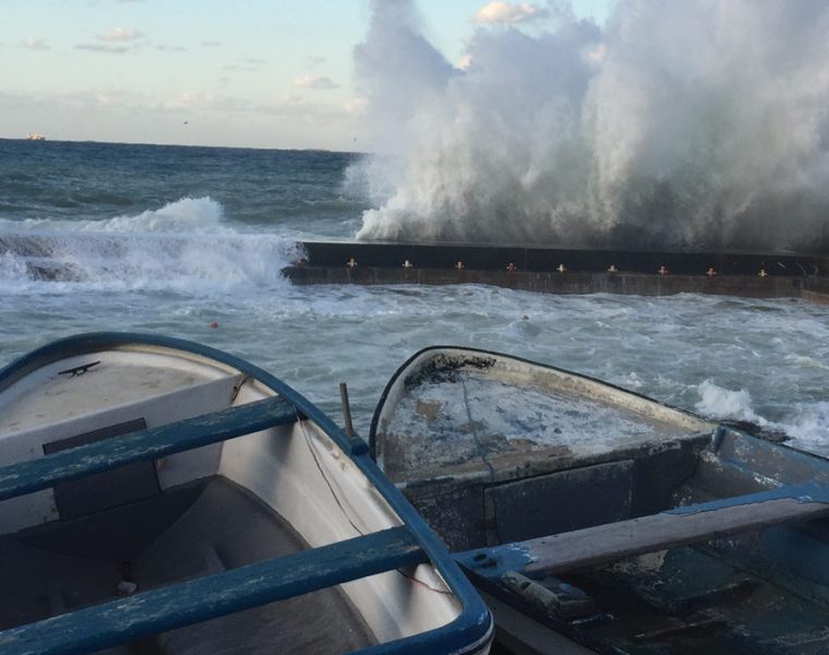 Image from The Chariot of Fara, Carla Henoud