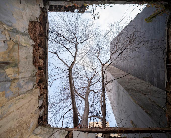 Dia Mrad, Trees Composition (2022), FineArt Inkjet print on archival paper (Hahnemühle 310 gsm), 75 x 100 cm | Edition of 5