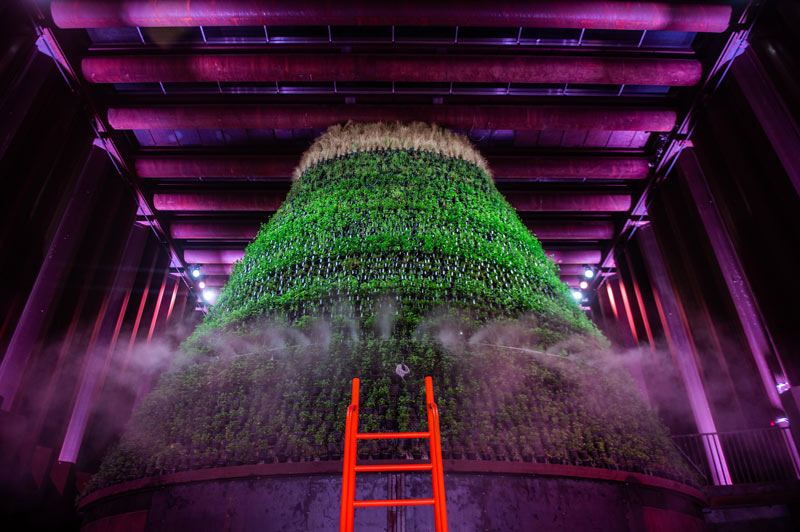 Netherlands Pavilion Feature Vertical Farm, World Food Day, Expo 2020 Dubai. (Photo by Omar Marques/Expo 2020 Dubai)