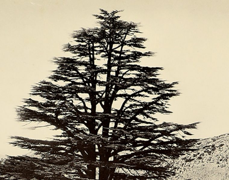 Beirut and Lebanon. 19th century photographs century, presented by the Semitic Museum of Harvard University House of the Future, Naccache and Archaeological Museum of AUB – American University of Beirut, May 15 – 30, 1983