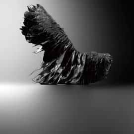 Iris van Herpen and Jólan van der Wiel - “Magnetic Motion” shoe, Spring-Summer 2015 ready-to-wear collection, Amsterdam, Iris Van Herpen. © MAD Paris. Photo : Hughes Dubois Iris Van Herpen. © MAD Paris. Photo : Hughes Dubois